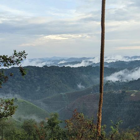Nyungwe Village Kitabi Exteriér fotografie