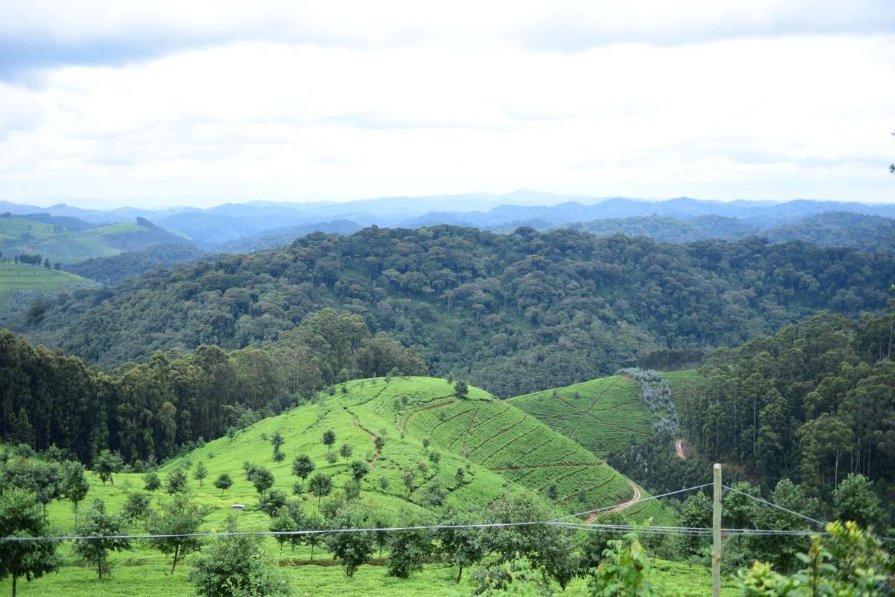 Nyungwe Village Kitabi Exteriér fotografie