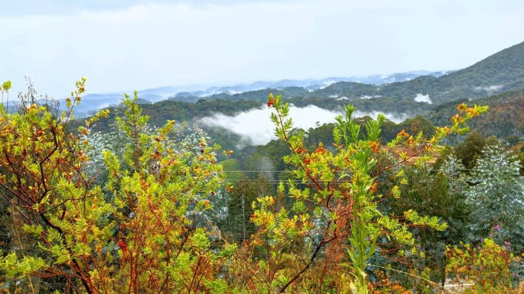 Nyungwe Village Kitabi Exteriér fotografie