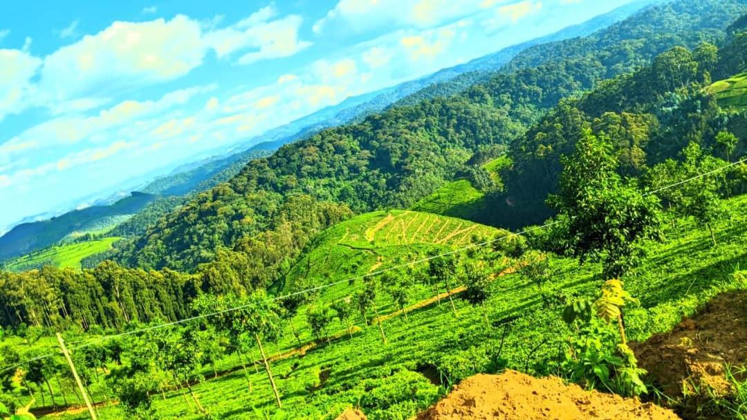 Nyungwe Village Kitabi Exteriér fotografie